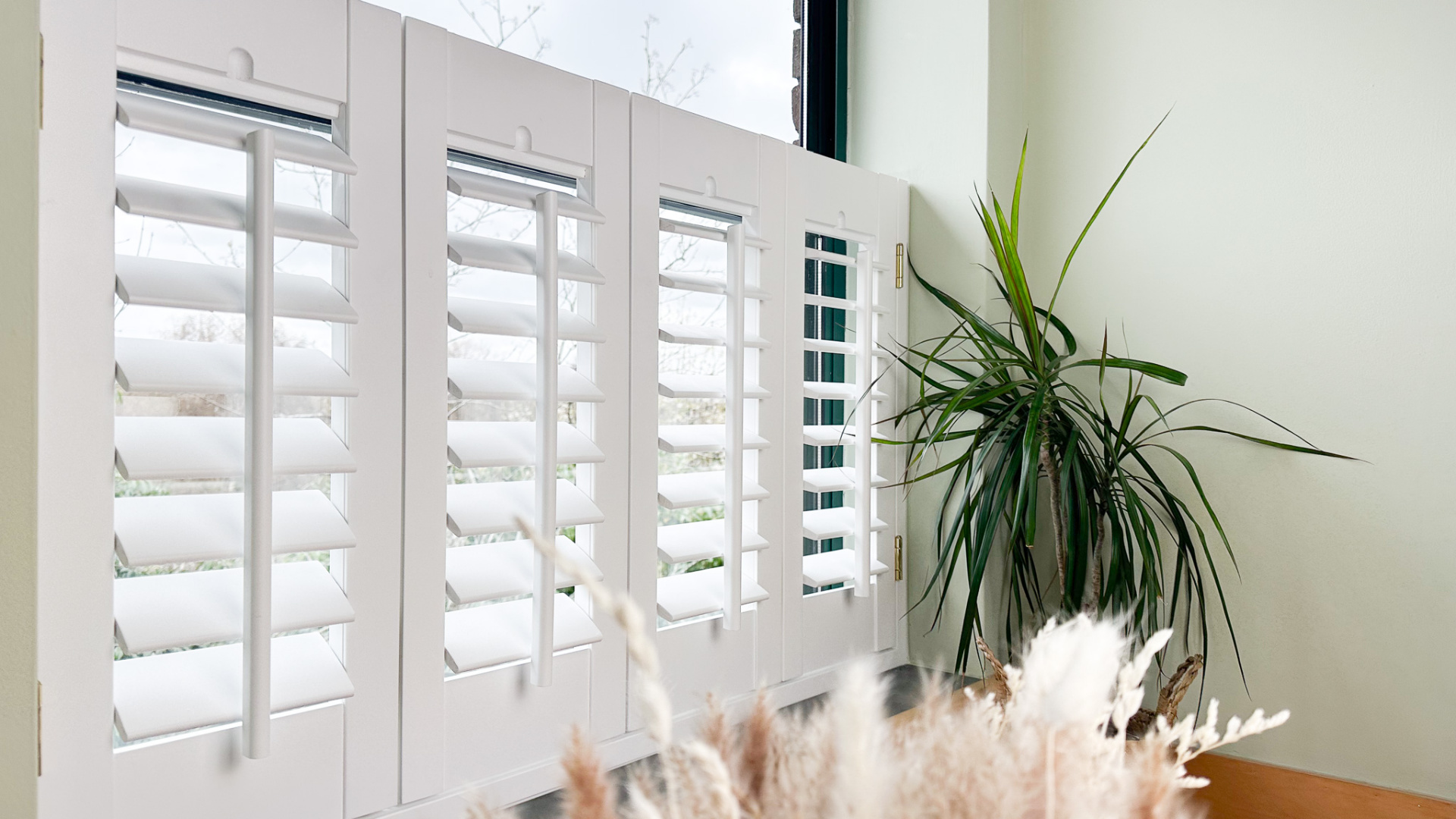 Hardwood+ full-height shutters with fixed tilt rod in a sage green room